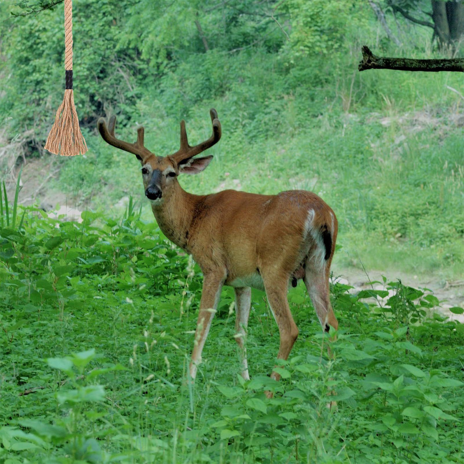 Deer Scrape Effective Long-Las - Deer Attractant Scent ulasan dan harga