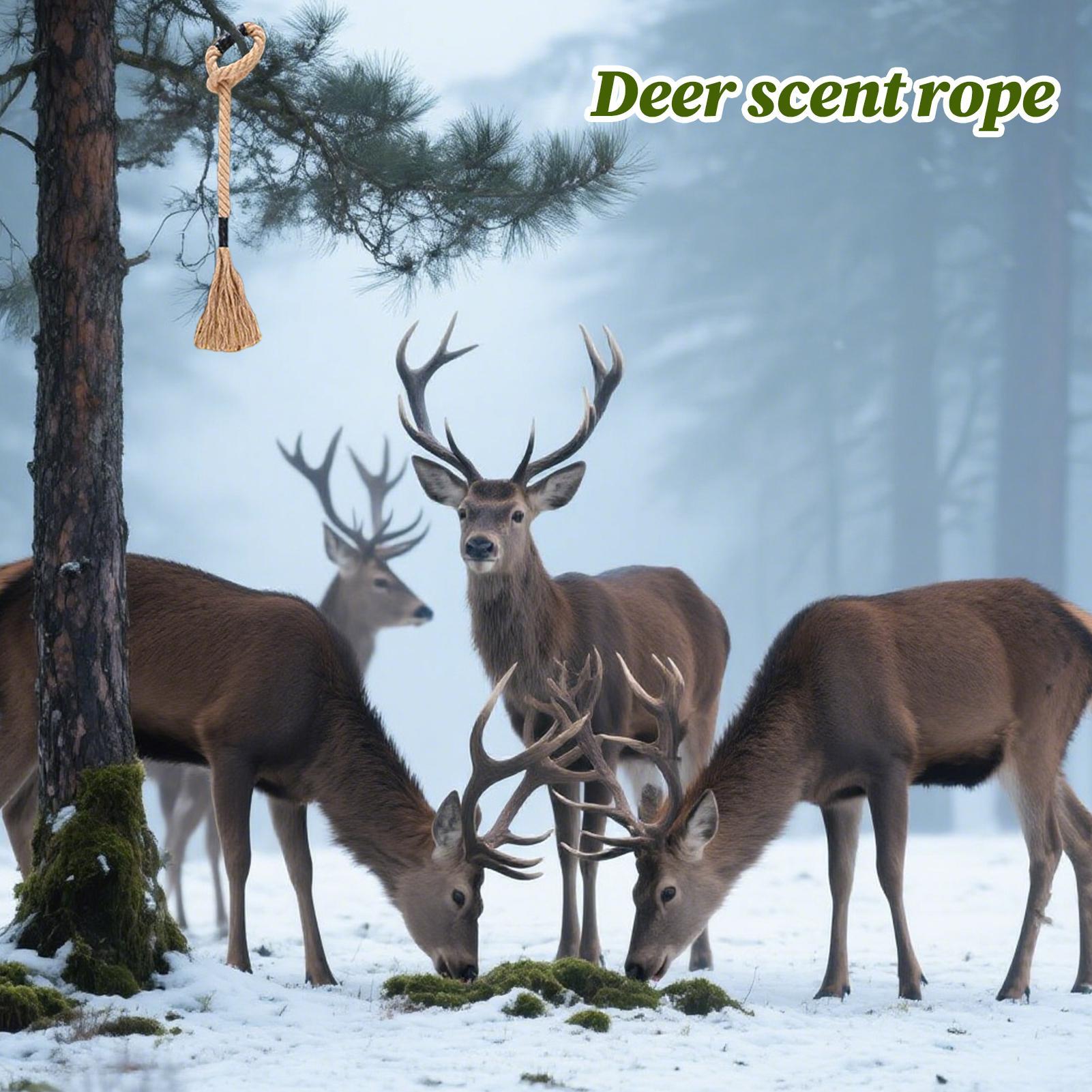 Deer Scrape Effective Long-Las - Deer Attractant Scent ulasan dan harga